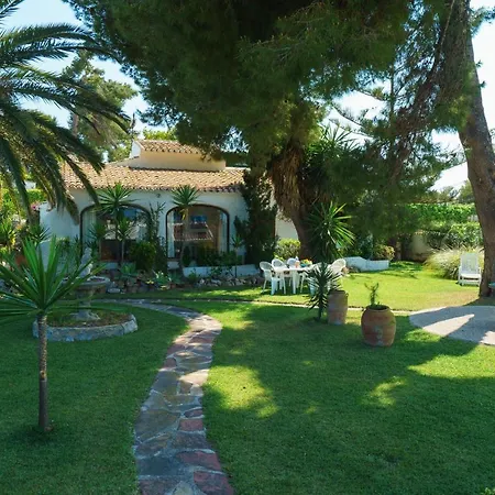 Ginjoler By Aguilarent